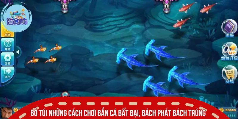 Cách Chơi Bắn Cá  SUNWIN Hiệu Quả Giúp Ăn Đậm Mỗi Ngày 4 Bỏ túi những cách chơi bắn cá bất bại, bách phát bách trúng
