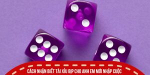 Cách Nhận Biết Tài Xỉu Bịp Đơn Giản Ai Cũng Nên Biết 19 Cách nhận biết tài xỉu bịp cho anh em mới nhập cuộc