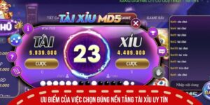 Chơi Tài Xỉu Online Ở Đâu Vừa An Toàn Vừa Đáng Tin Cậy Nhất 4 Ưu điểm của việc chọn đúng nền tảng tài xỉu uy tín